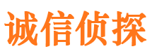 武强市私人侦探